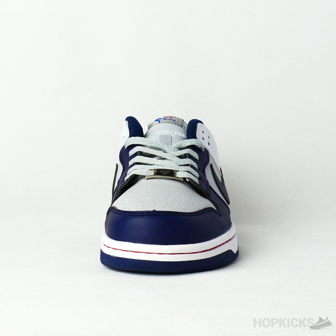 brooklyn nets sb dunks